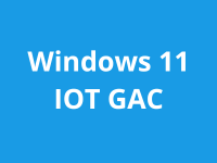 Windows 11 IoT Enterprise High End (ESD)